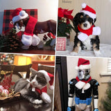 Costumes for Cats and Small Dogs - Choice of Birthday Hat, Christmas, Leprechaun, Lion Mane, Sailor, Santa, or Wizard Hat-NAMSAN Store - B07GZPBF19-Birthday Hat-PetPhenom