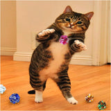 Cat Mylar Crinkle Play Toy Balls for Indoor Cats, 10 or 100 piece-JSN US Distribution - B091YYWGQB-10pc-PetPhenom