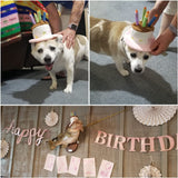 Costumes for Cats and Small Dogs - Choice of Birthday Hat, Christmas, Leprechaun, Lion Mane, Sailor, Santa, or Wizard Hat-NAMSAN Store - B07GZPBF19-Birthday Hat-PetPhenom
