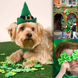 Costumes for Cats and Small Dogs - Choice of Birthday Hat, Christmas, Leprechaun, Lion Mane, Sailor, Santa, or Wizard Hat-NAMSAN Store - B07GZPBF19-Birthday Hat-PetPhenom