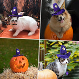 Costumes for Cats and Small Dogs - Choice of Birthday Hat, Christmas, Leprechaun, Lion Mane, Sailor, Santa, or Wizard Hat-NAMSAN Store - B07GZPBF19-Birthday Hat-PetPhenom