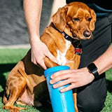 Dexas MudBuster Portable Dog Paw Washer & Paw Cleaner-Dog-Dexas-Small-Pro Blue-PetPhenom