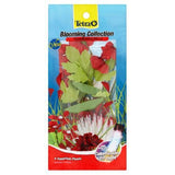 Tetra Blooming Collection Unique Aquarium Plants, 4-Count-Fish-Tetra-PetPhenom