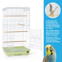 Prevue Pet Products Tall Tiel Cage Sage Green-Bird-Prevue Pet Products-PetPhenom