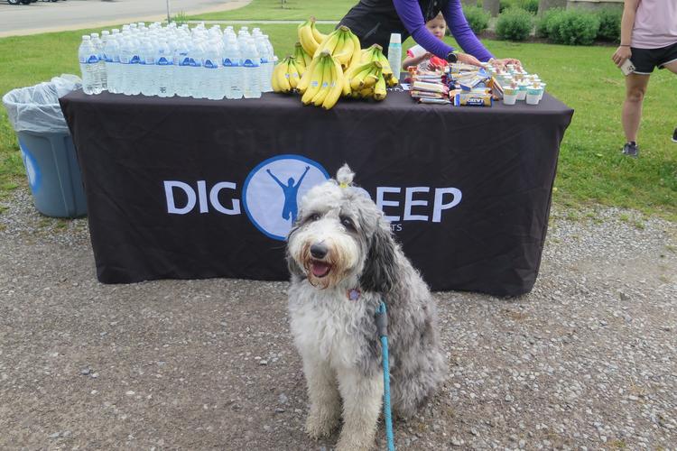 Midwest Pet Event: Judy V Spencer 5K-9 Fun Run/Walk