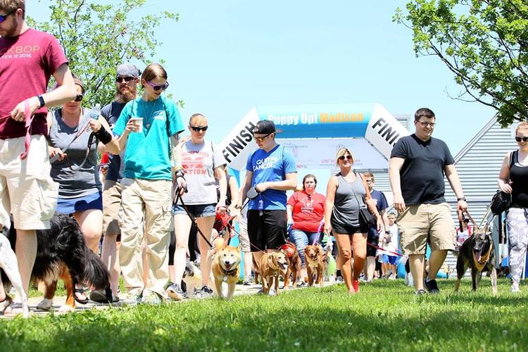 Midwest Pet Event: PuppyUp Madison