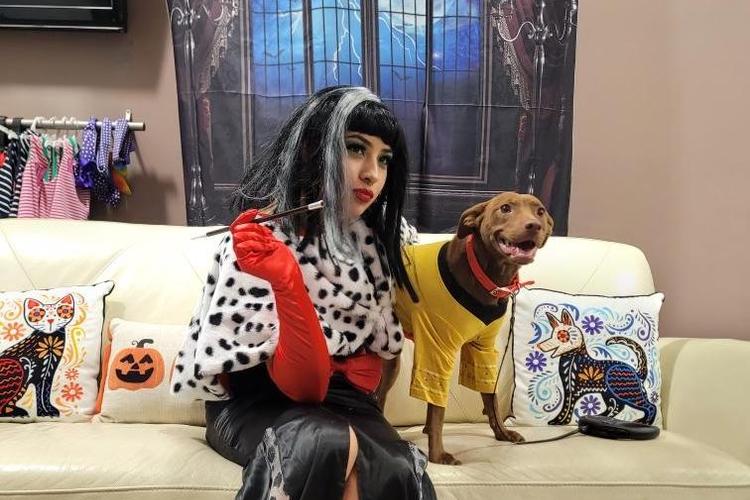 Midwest Pet Event: Haunted Howl-o-ween Party for Dogs