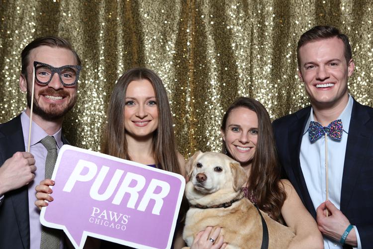 Midwest Pet Event: PAWS Chicago Annual Animal Magnetism