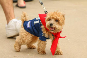 Midwest Pet Event: Bark in the Park