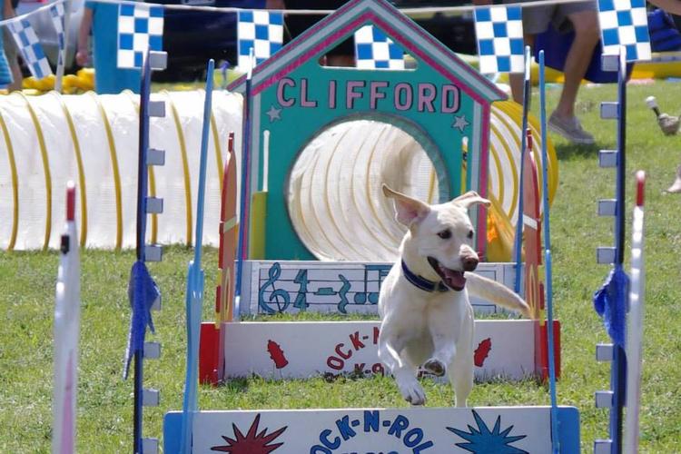 Midwest Pet Event: Farmington Fido Fest