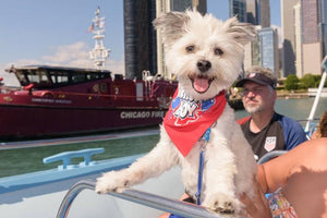 Midwest Pet Event: Cruise with Roo
