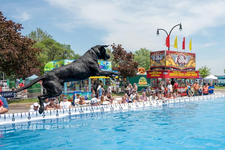 Midwest Pet Event: Bark on Biddle