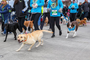 Midwest Pet Event: Festival Foods Turkey Trot Milwaukee