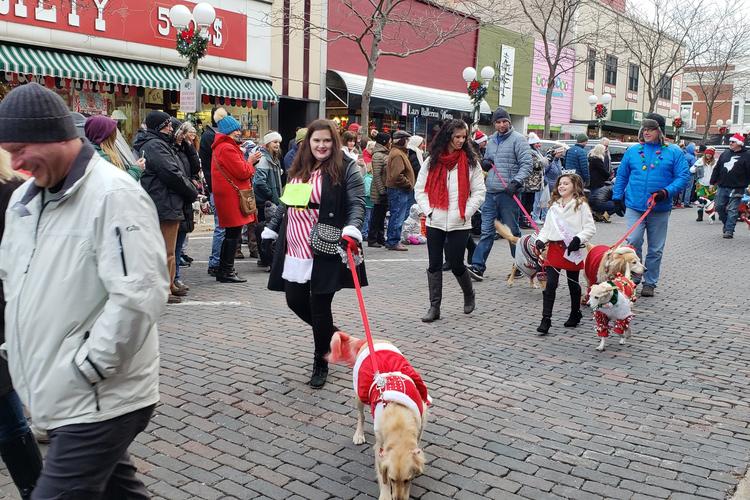 Midwest Pet Event: Reindog Holiday Parade