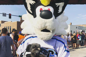 Midwest Pet Event: Pucks n' Paws with the Quad City Storm