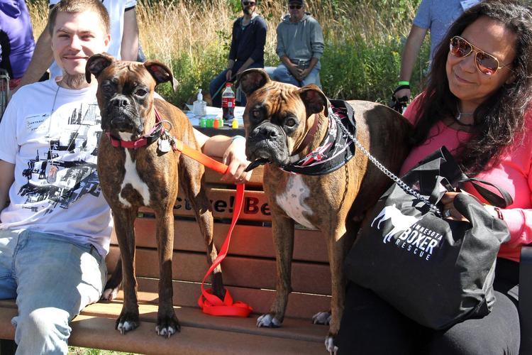 Midwest Pet Event: WiggleFest