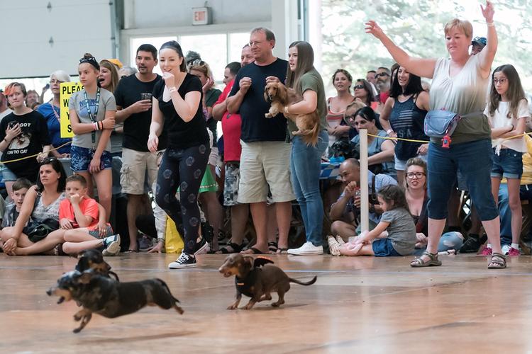 Midwest Pet Event: Frankenmuth Oktoberfest
