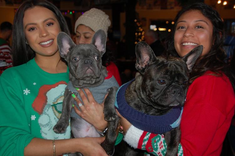 Midwest Pet Event: Chicago French Bulldog Rescue’s Ugly Sweater Party