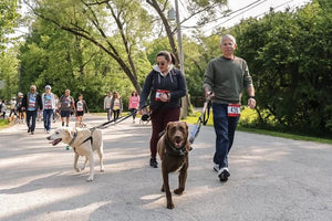 Midwest Pet Event: Palos Park Doggie Dash