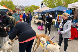 Midwest Pet Event: Pet Palooza