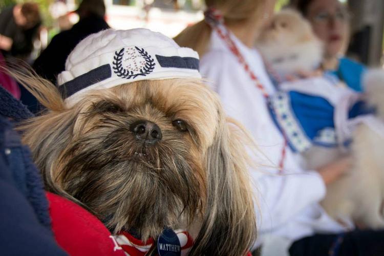 Midwest Pet Event: Annual Canine Cruise on the Cass River