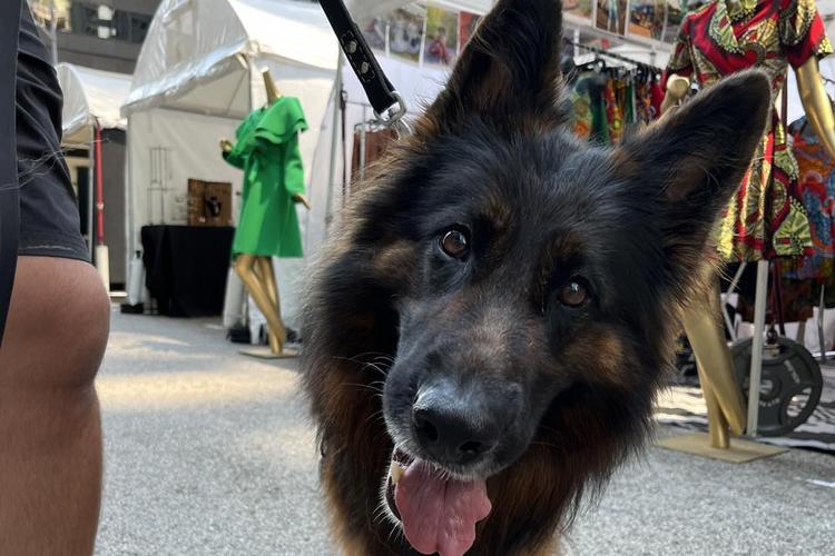 Midwest Pet Event: Printer's Row Art Fest