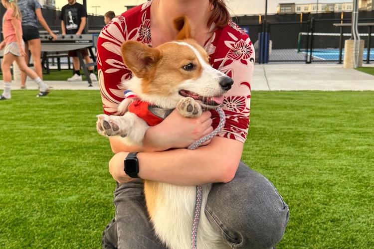 Midwest Pet Event: Canines & Cocktails with Bacardi