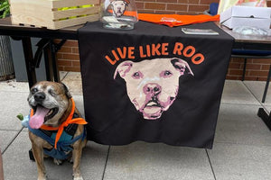 Midwest Pet Event: Roo Fest