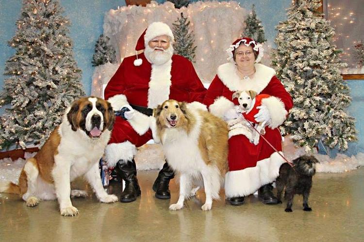 Midwest Pet Event: Paws 'n Claus