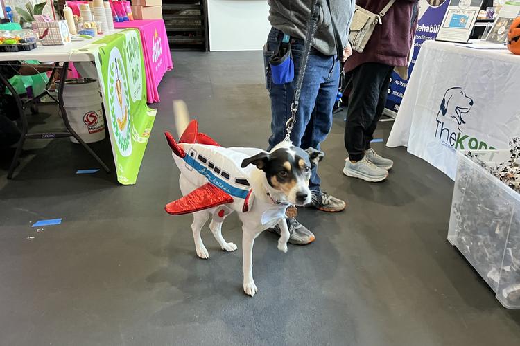 Midwest Pet Event: Wag-O-Ween Dog-Friendly Market and Fundraiser