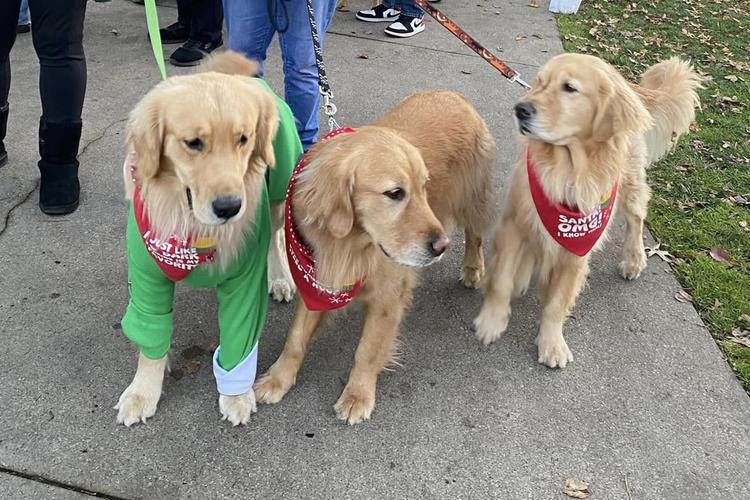 Midwest Pet Event: Annual Santa Paws Pooch Parade