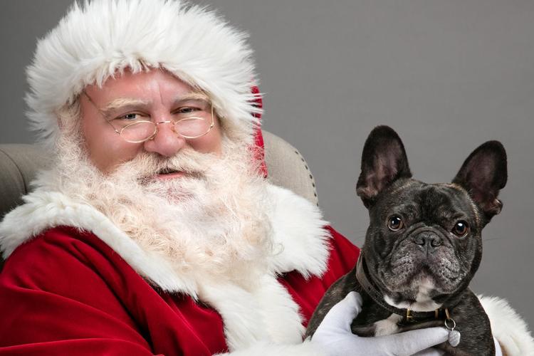 Midwest Pet Event: Santa Pet Pictures