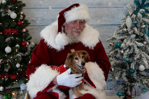 Midwest Pet Event: Pet Photos with Santa