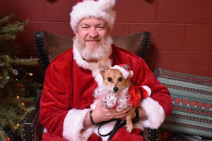 Midwest Pet Event: Dog Photos with Santa Paws