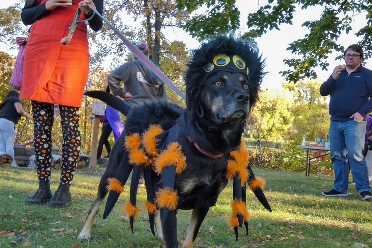 Midwest Pet Event: Spooktacular