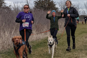 Midwest Pet Event: Meraki Trail Adventure