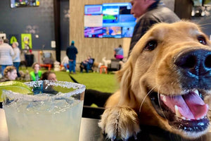 Midwest Pet Event: National Margarita Day @ P&P