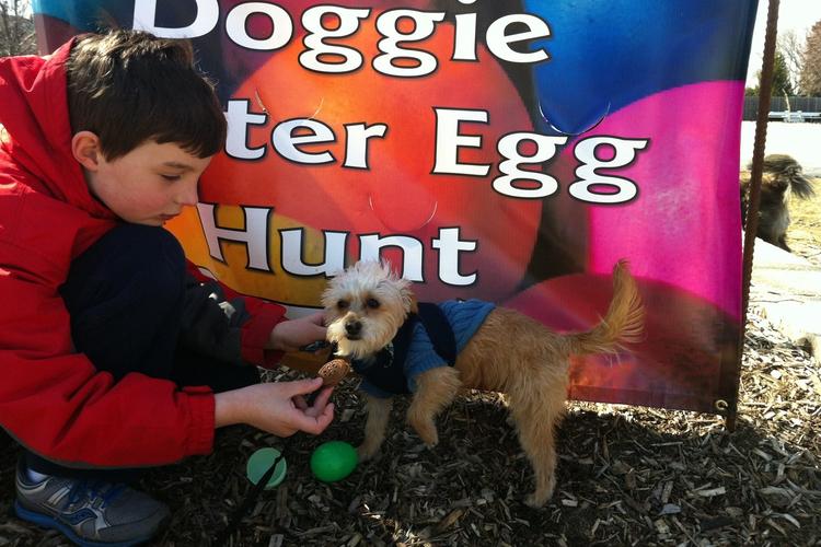 Midwest Pet Event: Doggy Egg Hunt