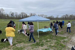 Midwest Pet Event: Doggy Easter Egg Hunt