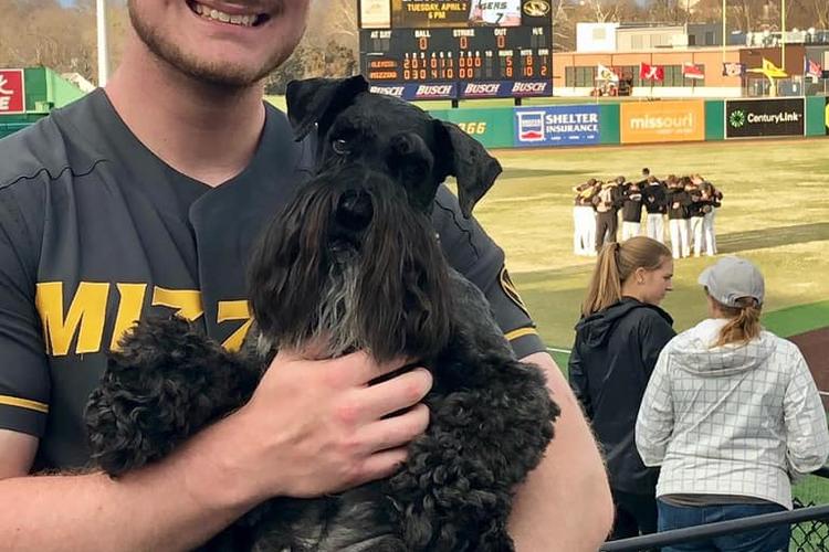 Midwest Pet Event: Bark in the Park