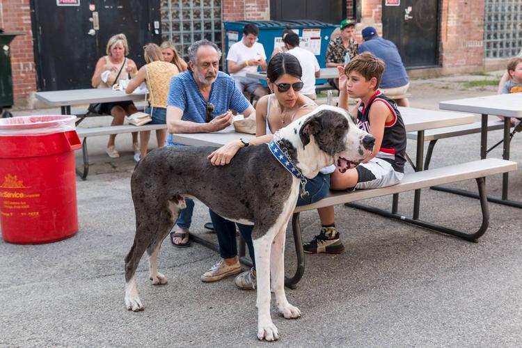 Midwest Pet Event: Dancing in the Streets