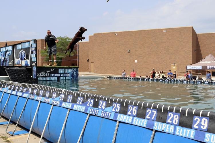 Midwest Pet Event: Dock Dogs at Scheels Hunting Fest