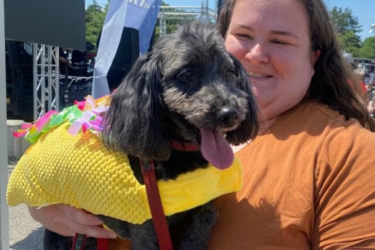 Midwest Pet Event: Yappy Hour Pet Costume Contest at Taco Fest