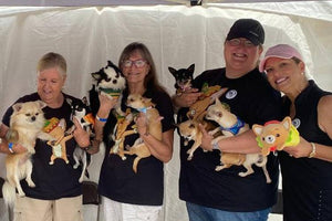 Midwest Pet Event: Royal Oak Taco Fest