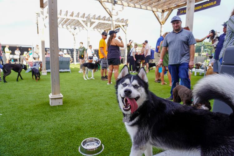 Midwest Pet Event: Pupchella