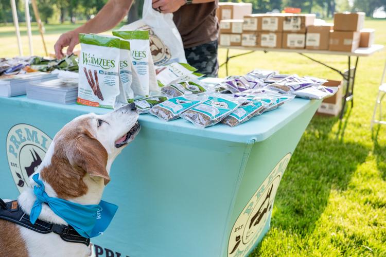 Midwest Pet Event: Orion Oaks Dog Park’s Annual Bark Bash