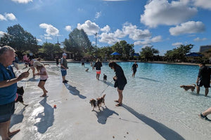 Midwest Pet Event: Annual Doggie Splash