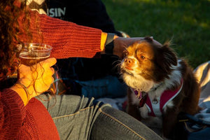 Midwest Pet Event: National Dog Week Yappy Hour