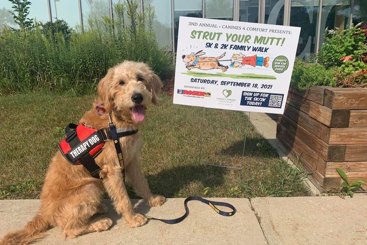 Midwest Pet Event: Strut Your Mutt