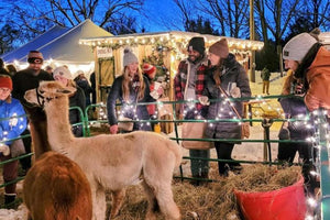 Midwest Pet Event: Door County Christkindlmarket